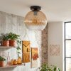 Koyoto Plafondlamp, Kogellampje 25 cm Amber, Duidelijk, 1-licht