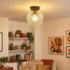 Ripoll Plafondlamp, Kogellampje Duidelijk, 1-licht