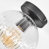 Ripoll Plafondlamp, Kogellampje Duidelijk, 1-licht