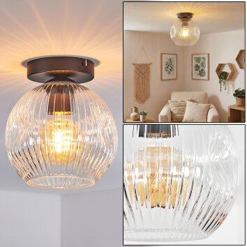 Ripoll Plafondlamp, Kogellampje Duidelijk, 1-licht