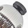 Ripoll Plafondlamp, Kogellampje Chroom, Rookkleurig, 1-licht