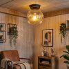 Ripoll Plafondlamp, Kogellampje Chroom, Duidelijk, Rookkleurig, 1-licht
