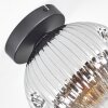 Ripoll Plafondlamp, Kogellampje Chroom, Duidelijk, Rookkleurig, 1-licht
