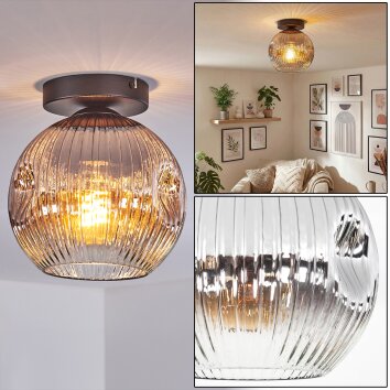 Ripoll Plafondlamp, Kogellampje Chroom, Duidelijk, Rookkleurig, 1-licht