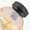 Ripoll Plafondlamp, Kogellampje Amber, Duidelijk, 1-licht