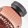 Ripoll Plafondlamp, Kogellampje Koperkleurig, 1-licht