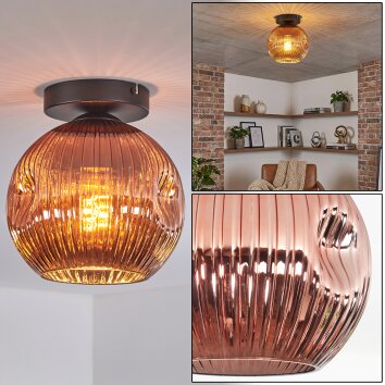 Ripoll Plafondlamp, Kogellampje Koperkleurig, 1-licht