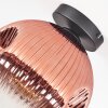 Ripoll Plafondlamp, Kogellampje Duidelijk, Koperkleurig, 1-licht