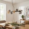 Chehalis Hanglamp, Kogellampje, Hanglamp Amber, Duidelijk, Rookkleurig, 8-lichts