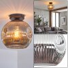 Ripoll Plafondlamp, Kogellampje Rookkleurig, 1-licht