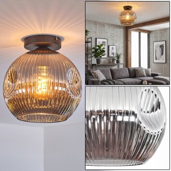 Ripoll Plafondlamp, Kogellampje Rookkleurig, 1-licht