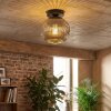 Ripoll Plafondlamp, Kogellampje Chroom, Rookkleurig, 1-licht