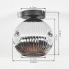 Ripoll Plafondlamp, Kogellampje Chroom, Rookkleurig, 1-licht