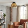 Ripoll Plafondlamp, Kogellampje Goud, Duidelijk, 1-licht