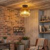 Ripoll Plafondlamp, Kogellampje Goud, Duidelijk, 1-licht