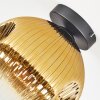 Ripoll Plafondlamp, Kogellampje Goud, Duidelijk, 1-licht