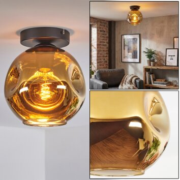 Ripoll Plafondlamp, Kogellampje Goud, 1-licht