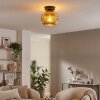 Ripoll Plafondlamp, Kogellampje Goud, 1-licht