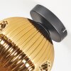 Ripoll Plafondlamp, Kogellampje Goud, 1-licht