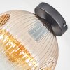 Ripoll Plafondlamp, Kogellampje Amber, Duidelijk, 1-licht