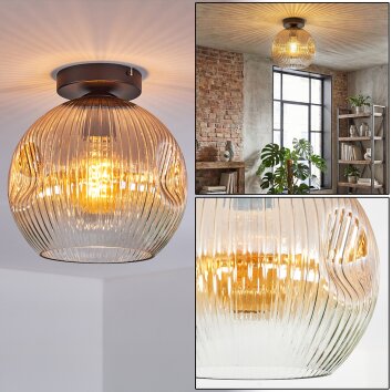 Ripoll Plafondlamp, Kogellampje Amber, Duidelijk, 1-licht