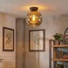 Ripoll Plafondlamp, Kogellampje Goud, 1-licht