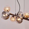 Chehalis Hanglamp, Kogellampje, Hanglamp Amber, Duidelijk, Rookkleurig, 8-lichts