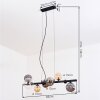 Chehalis Hanglamp, Kogellampje, Hanglamp Amber, Duidelijk, Rookkleurig, 8-lichts