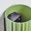 Fonir Licht omhoog & omlaag, Wandlamp Groen, 1-licht