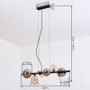 Chehalis Hanglamp, Kogellampje, Hanglamp Amber, Duidelijk, Rookkleurig, 8-lichts