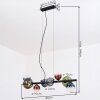 Chehalis Hanglamp, Kogellampje, Hanglamp Blauw, Groen, Duidelijk, Koperkleurig, 8-lichts