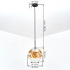 Ripoll Hanglamp, Kogellampje, Hanglamp Amber, Duidelijk, 1-licht