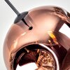 Ripoll Hanglamp, Kogellampje, Hanglamp Duidelijk, Koperkleurig, 1-licht