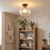 Koyoto Plafondlamp, Kogellampje 25 cm Duidelijk, 1-licht