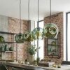 Ripoll Hanglamp, Kogellampje, Hanglamp Groen, 4-lichts