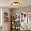 Lucera Plafondlamp, Paneel LED houtlook, Zwart, 1-licht