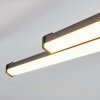 Fenol Plafondlamp LED Zwart, 1-licht