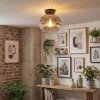 Koyoto Plafondlamp, Kogellampje 25 cm Duidelijk, Rookkleurig, 1-licht