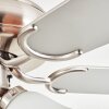 Stelo Plafondlamp, Plafondventilator met verlichting Natuurlijke kleuren, Nikkel mat, Zilver, 3-lichts