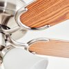 Stelo Plafondlamp, Plafondventilator met verlichting Natuurlijke kleuren, Nikkel mat, Zilver, 3-lichts