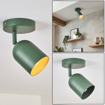Horen Plafondlamp, Plafondspot Groen, 1-licht