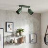 Horen Plafondlamp, Plafondspot Groen, 2-lichts
