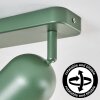 Horen Plafondlamp, Plafondspot Groen, 2-lichts