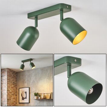Horen Plafondlamp, Plafondspot Groen, 2-lichts