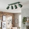 Horen Plafondlamp, Plafondspot Groen, 4-lichts