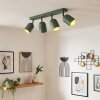 Horen Plafondlamp, Plafondspot Groen, 4-lichts