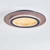 Lidor Plafondlamp LED Goud, Zwart, 1-licht