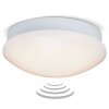 Brilliant Fakir Muur en plafond verlichting LED Wit, 1-licht, Bewegingsmelder
