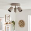 Horen Plafondlamp, Plafondspot Zandkleurig, 3-lichts