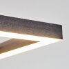 Hyacinthe Plafondlamp LED Zwart, 1-licht